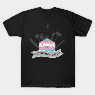 Critically Valid: Transgender Pride T-Shirt